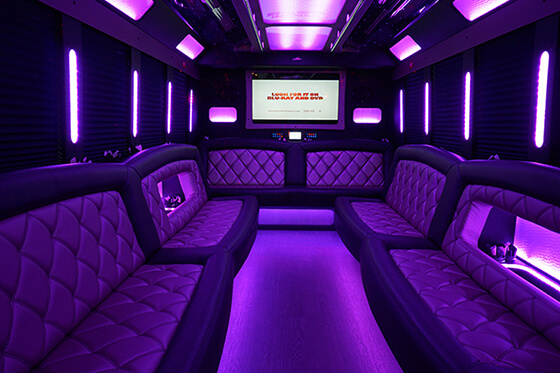 boise party bus interior